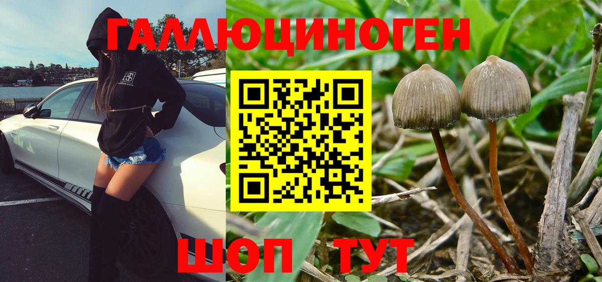 Галлюциногенные грибы мицелий  Псилоцибиновые грибы Magic Shrooms  Обь  Вход с VPN 