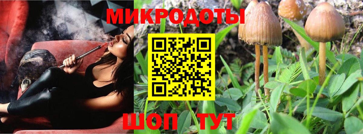 Псилоцибиновые грибы прущие грибы Обь